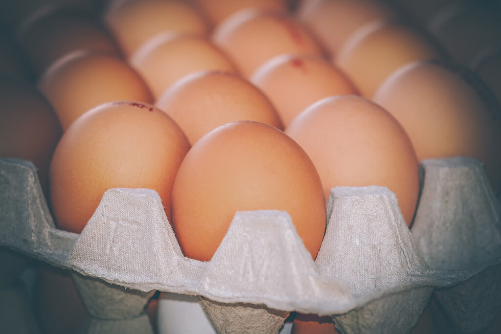 Productores de huevos - venta al por mayor y al detalle