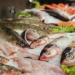 Distribuidor de pescado fresco